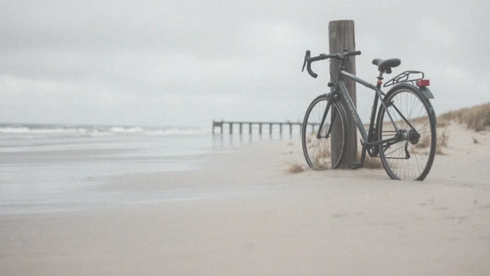 Co ciekawego można zobaczyć w Krynica Morska?