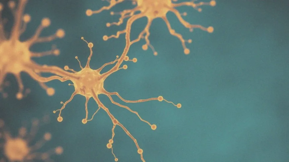 Jakie są formy koenzymu Q10?