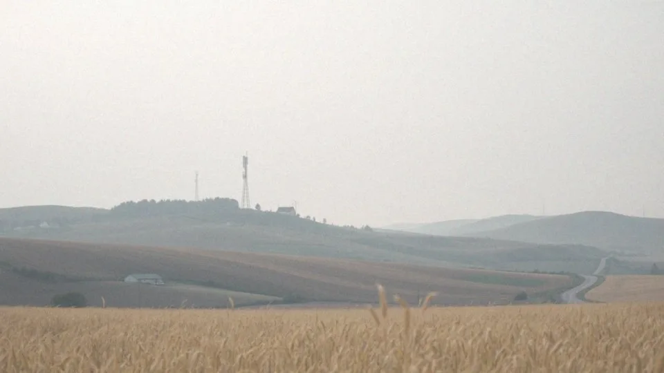 Jakie czynniki wpływają na zasięg internetowy mobilny?