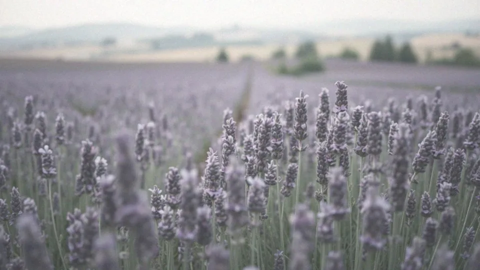 Jak wygląda szyjka macicy przed okresem? Zmiany i oznaki