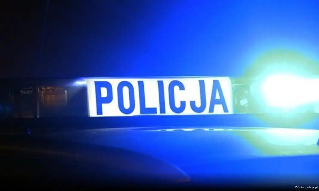 Ukryta plantacja marihuany zlikwidowana w Biłgoraju