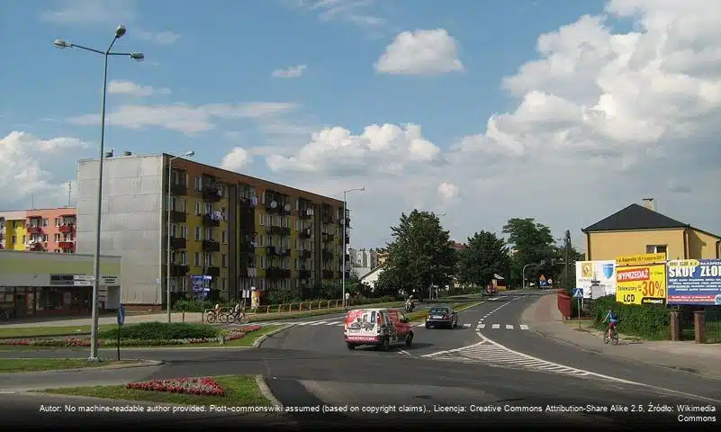 Puszcza Solska (Biłgoraj)